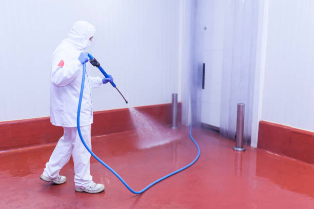 Best Dumpster Area Cleaning  in East Bronson, FL