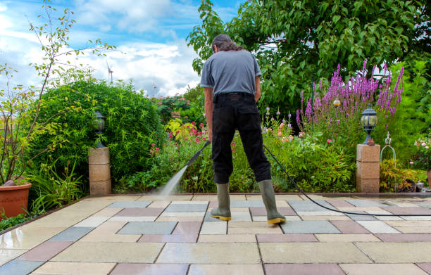 Best Fence Cleaning  in East Bronson, FL
