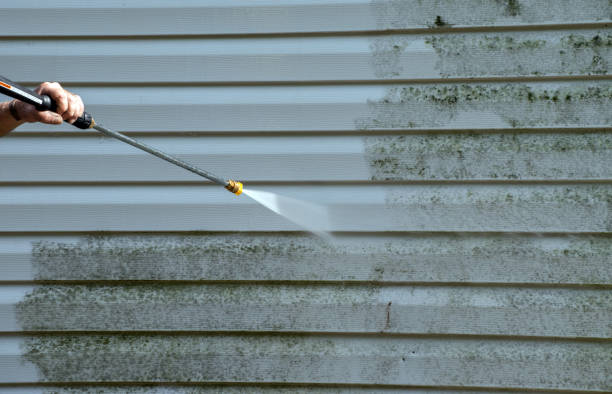 Best Sidewalk and Walkway Cleaning  in East Bronson, FL