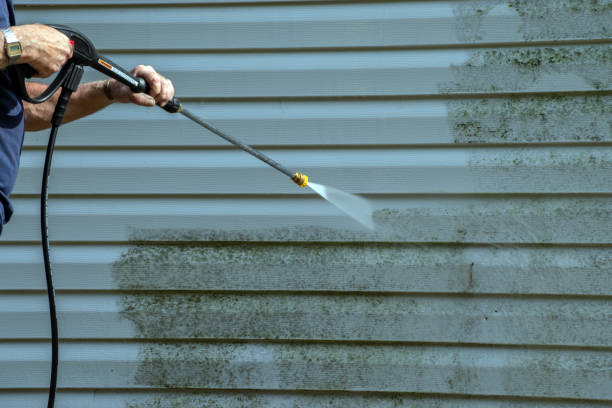 Best Roof Washing  in East Bronson, FL